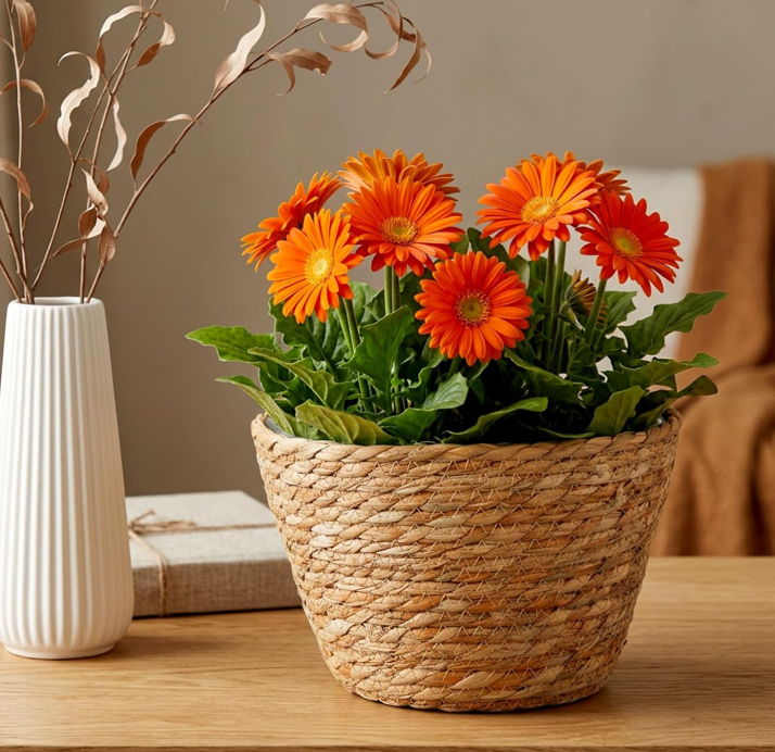 Natural Woven Jute Planter Cover – Bohemian Style
