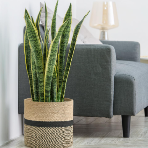 Black Jute Rope Woven Basket – Modern Planter Cover
