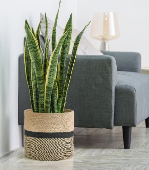 Black Jute Rope Woven Basket – Modern Planter Cover