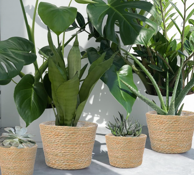 Seagrass Woven Planter Cover – 6-Piece Set With Liners - Image 2