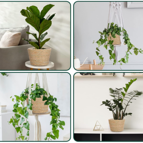 Seagrass Woven Planter Cover – 6-Piece Set With Liners