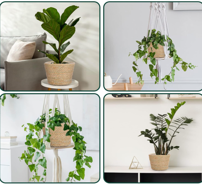 Seagrass Woven Planter Cover – 6-Piece Set With Liners