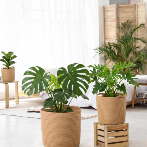 Khaki Woven Planter Basket – Bohemian 3-Piece Set