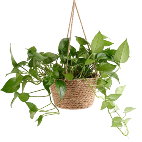 Rattan & Jute Hanging Basket – Multi-Purpose Storage Basket