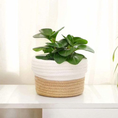Jute Rope Plant Basket – Khaki With White Stitching