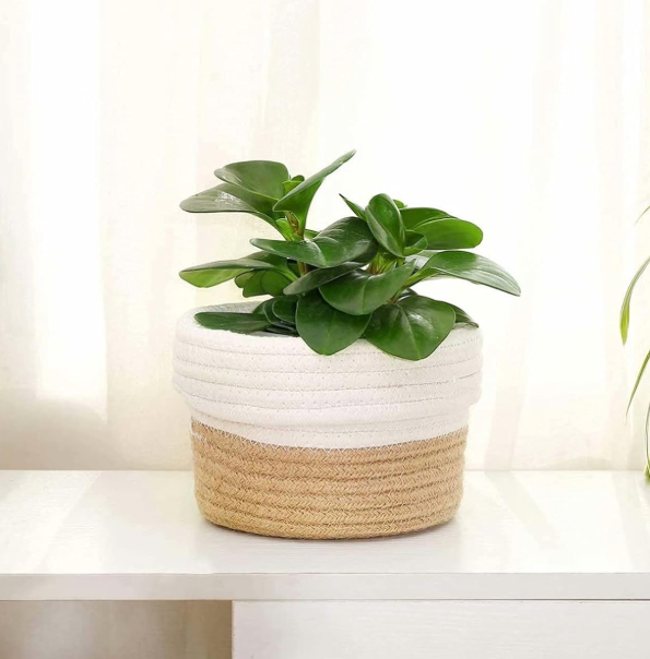 Jute Rope Plant Basket – Khaki With White Stitching