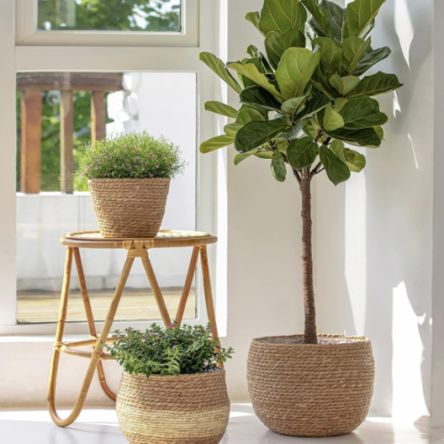 Large Natural Seagrass Planter Cover – 3-Piece Set