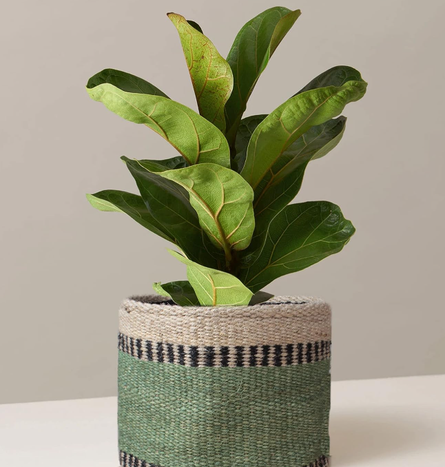 Jute Rope Floor Planter Cover – Woven Storage Basket - Image 2