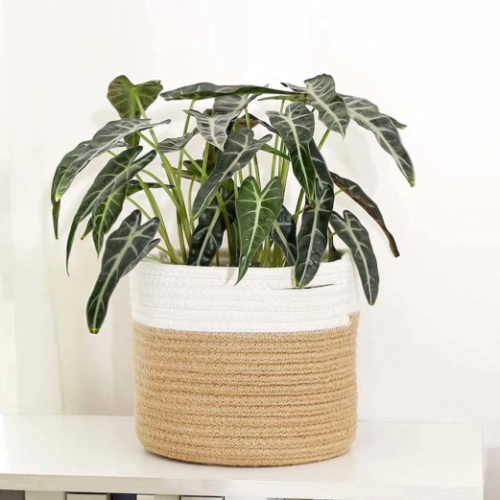 Hand-Woven Cotton Rope Planter Cover – Khaki With White Stitching