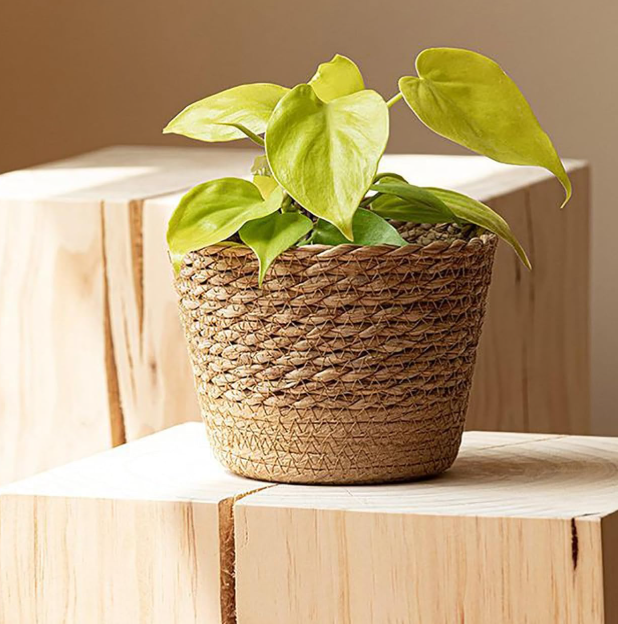 Jute & Seagrass Woven Basket – Rustic Style Planter Cover - Image 2