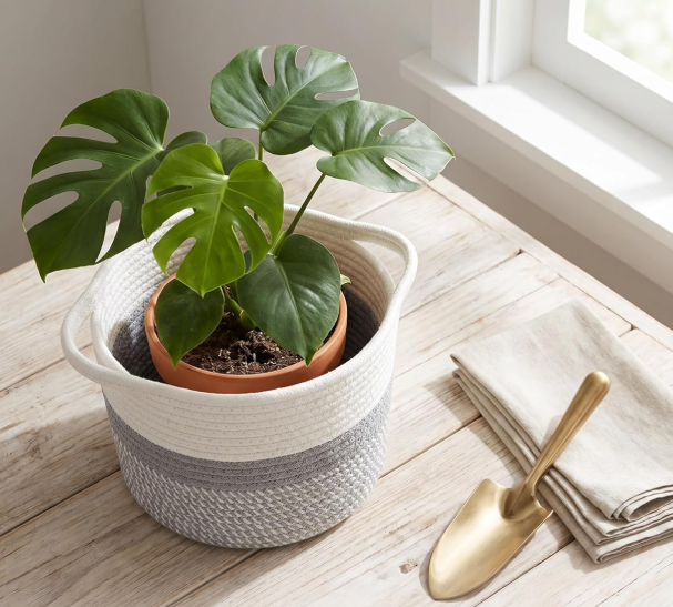 Two-Tone Cotton Rope Planter Basket / Indoor 2-Piece Set - Image 2