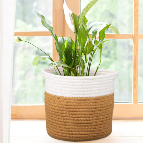 Two-Tone Cotton Rope Planter Basket / Indoor 2-Piece Set