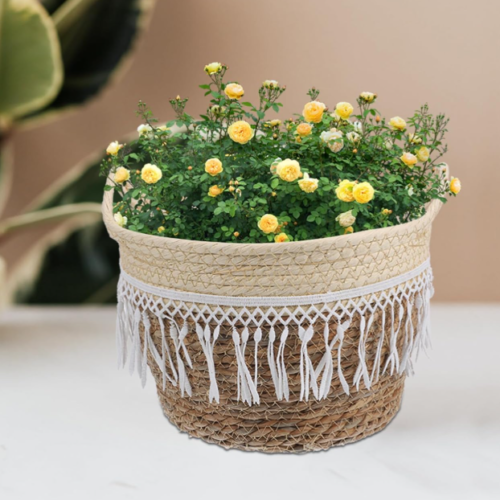 Woven Rattan Planter Cover / Plant Basket With Liner