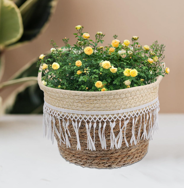 Woven Rattan Planter Cover / Plant Basket With Liner