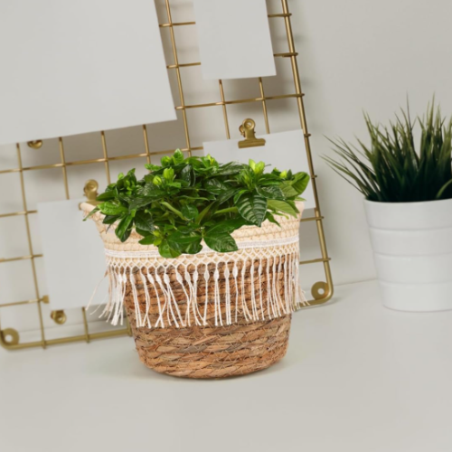 Woven Jute Storage Basket / Rustic Planter Cover