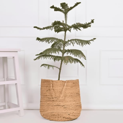Light Brown Jute Plant Basket / Bohemian Planter Cover