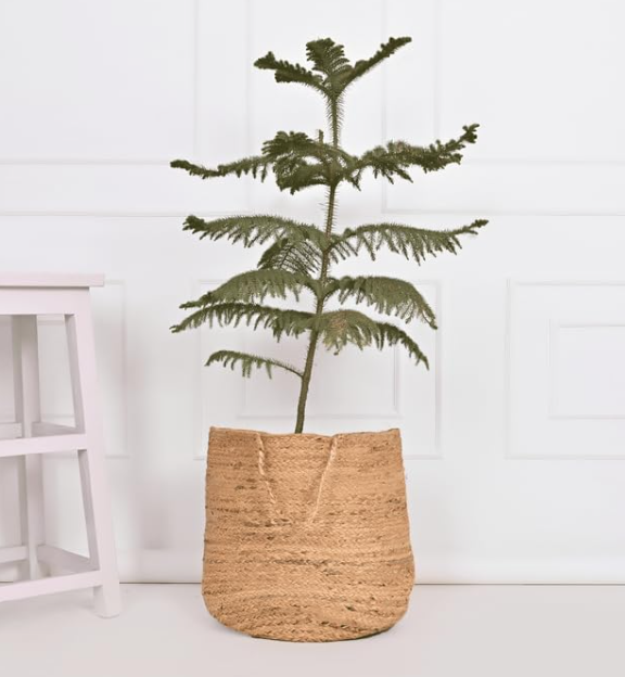 Light Brown Jute Plant Basket / Bohemian Planter Cover