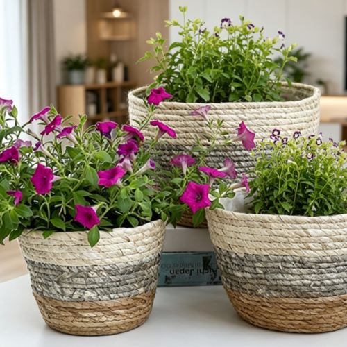 Grass Rope Plant Basket / Desktop Storage Planter Cover