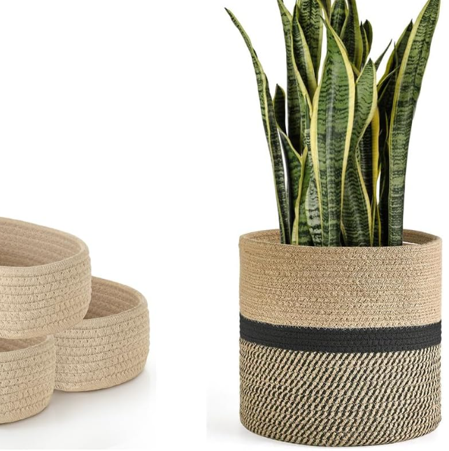 Jute Plant Basket / 3-Piece Set With Oval Storage Baskets - Image 2