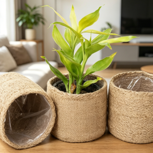 Natural Jute Planter Basket / 3-Piece Set For Succulents