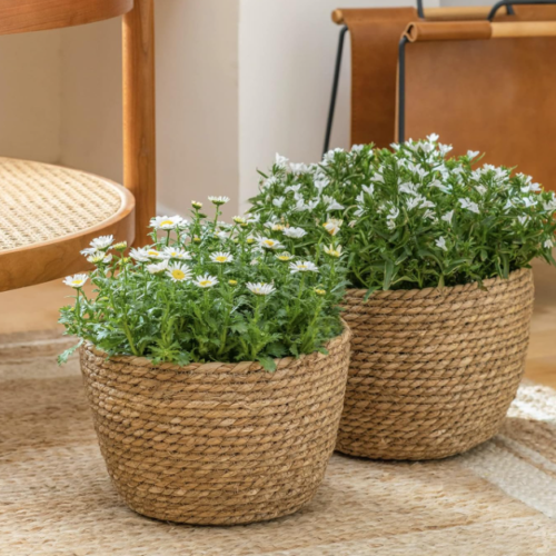 Natural Seagrass Plant Basket – 3-Piece Woven Set