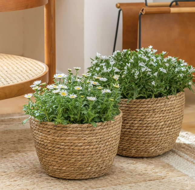 Natural Seagrass Plant Basket – 3-Piece Woven Set
